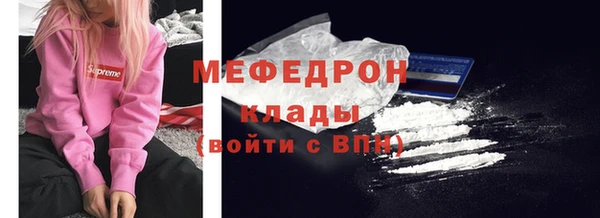 индика Тобольск
