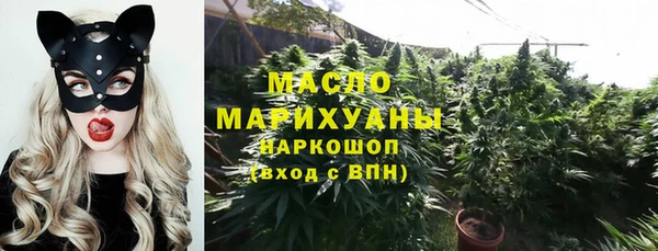 индика Тобольск
