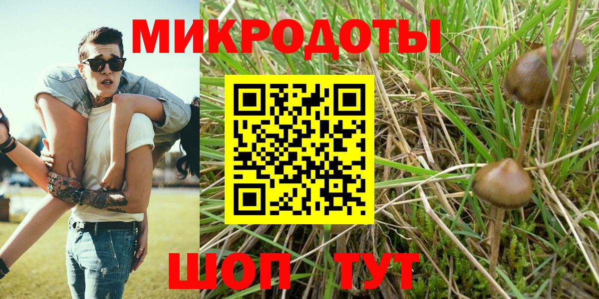 Минеральные Воды  купить наркотики сайты  Вход с VPN  Псилоцибиновые грибы MAGIC MUSHROOMS 