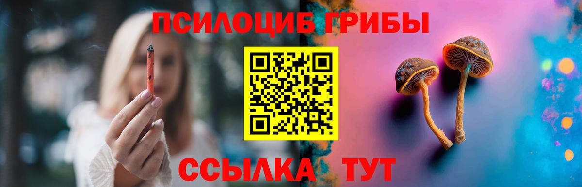Псилоцибиновые грибы MAGIC MUSHROOMS  Минеральные Воды  Галлюциногенные грибы Psilocybe 